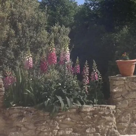 Villa Villa De Charme A Malaucene Avec Piscine Privee Malaucene
